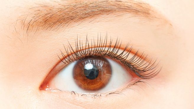 アイラッシュTOKYO　エトワール戸塚西口店