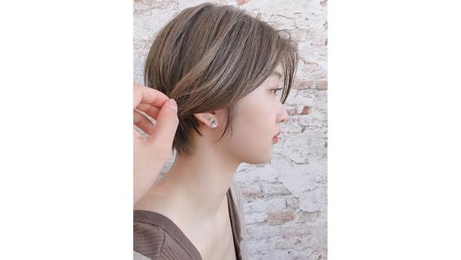 Sorteの画像5枚目
