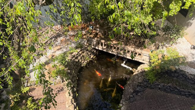 ＳＵＮ　白金台　本館の画像4枚目
